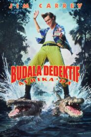 Budala Dedektif Afrika’da Türkçe Dublaj izle