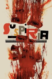 Suspiria 2018 türke dublaj izle