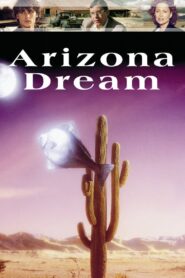 Arizona Rüyası 1993 Türkçe Dublaj izle