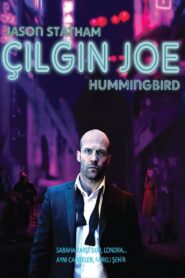 Çılgın Joe 2013 Full Türkçe Dublaj izle