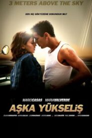 Aşka Yükseliş Türkçe Dublaj izle