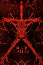 Blair Cadısı 2016 Türkçe Dublaj izle