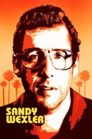 Sandy Wexler Full Türkçe Dublaj izle