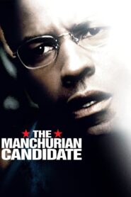Mançuryalı Aday Full Türkçe Dublaj izle