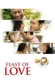 Aşk Şöleni Türkçe Dublaj izle