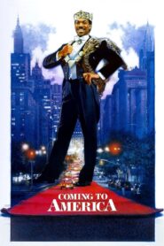 Amerika Rüyası Türkçe Dublaj izle