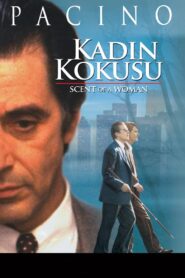 Kadın Kokusu 1992 Türkçe Dublaj Full izle