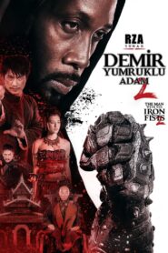 Demir Yumruklu Adam 2 Türkçe dublaj izle