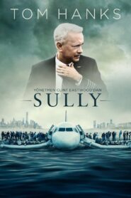 Sully Full Türkçe Dublaj izle