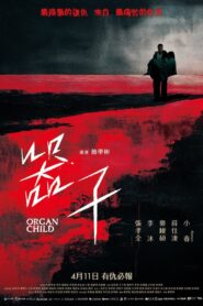 Kalpsiz – Qi zi 2025 Türkçe Dublaj izle