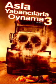 Asla Yabancılarla Oynama 3 Joy Ride 3