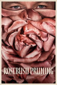 Rosebush Pruning Gül Çalısı Budama 2026