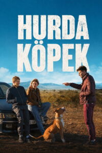 Junkyard Dog Hurda Köpek 2023