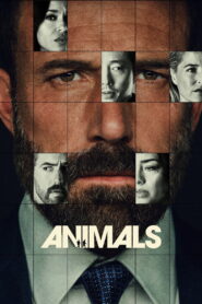 Hayvanlar (Animals) 2026