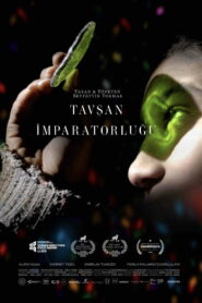 Tavşan İmparatorluğu 2024